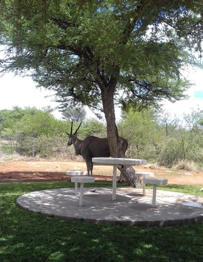 Pondoki Rest Camp Grootfontein Exterior photo